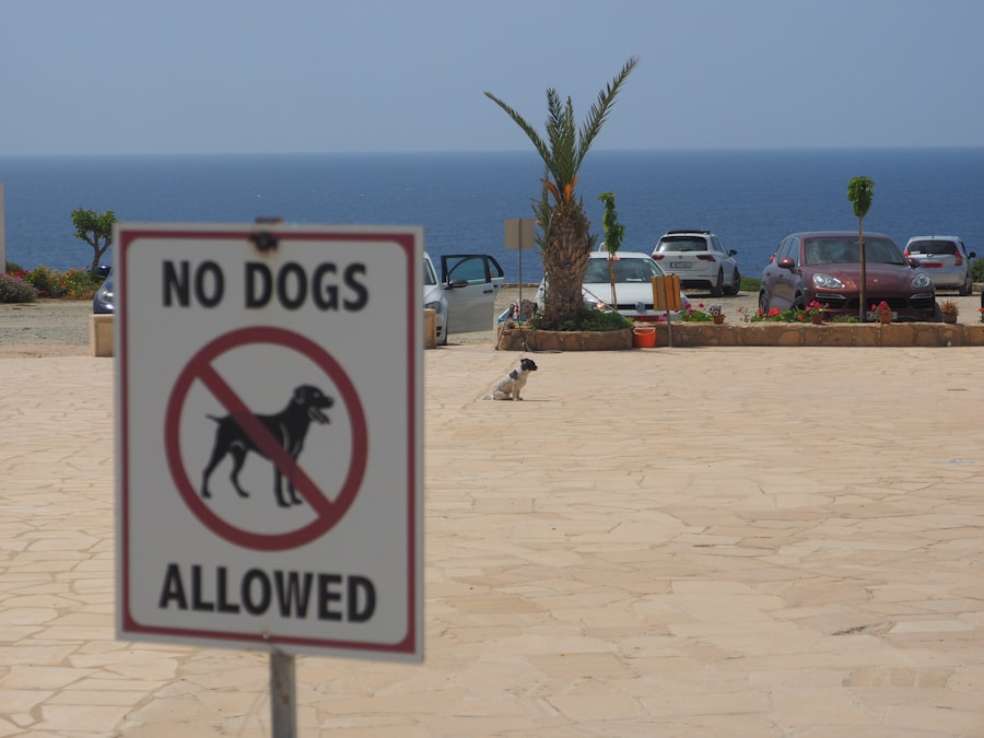 polite holiday boundaries
